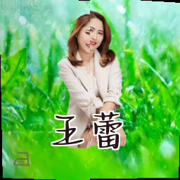 王蕾